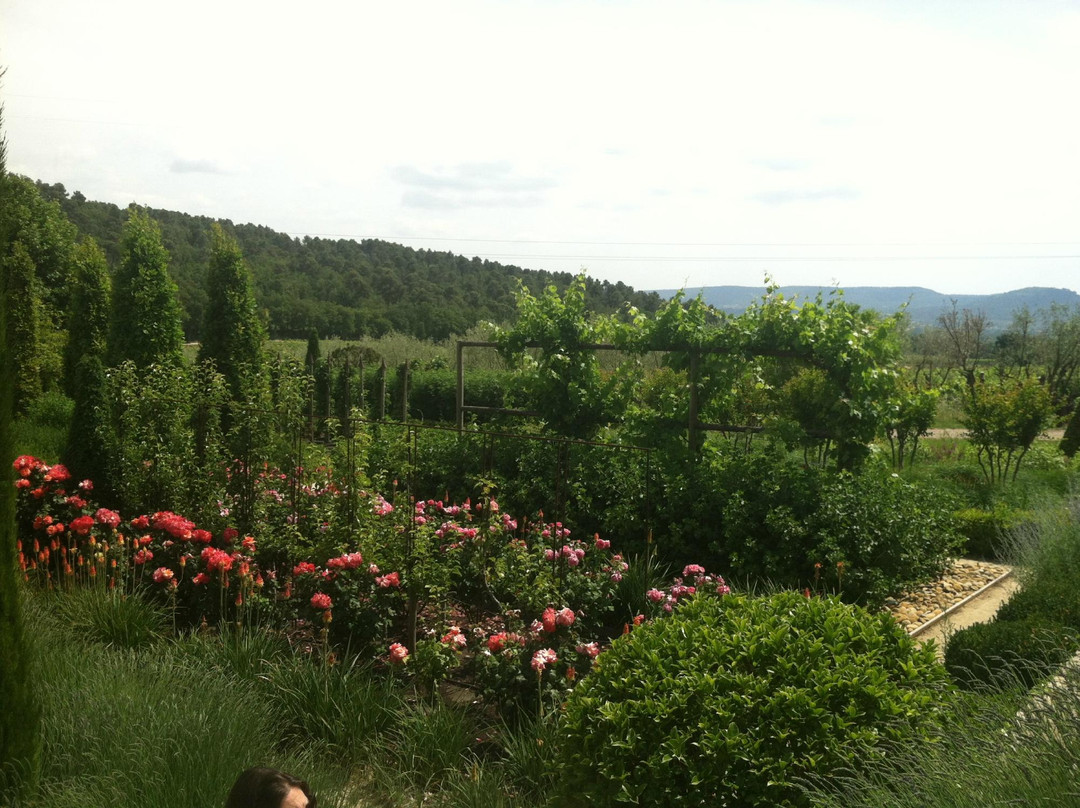 Wine in Provence景点图片