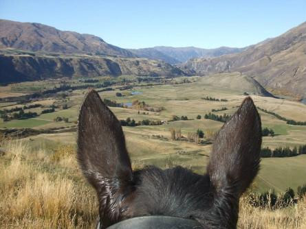 月光马厩-皇后镇必去景点