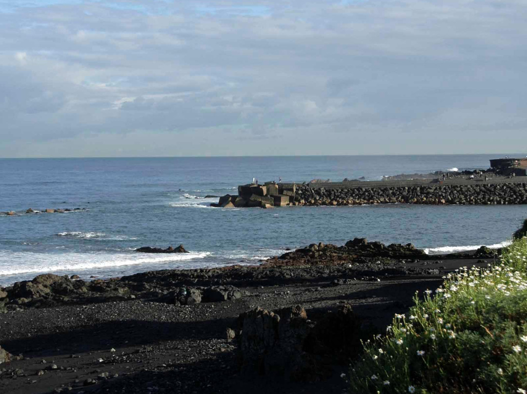 Parque Infantil de Playa Jardín景点图片