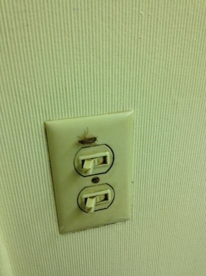 Town House Motel主图