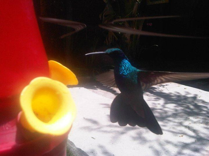 Hosteria Gilocarmelo-Cotopaxi Province必去景点