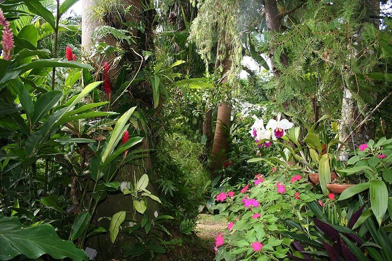Le Spa du Parc aux Orchidées-Pointe-Noire必去景点