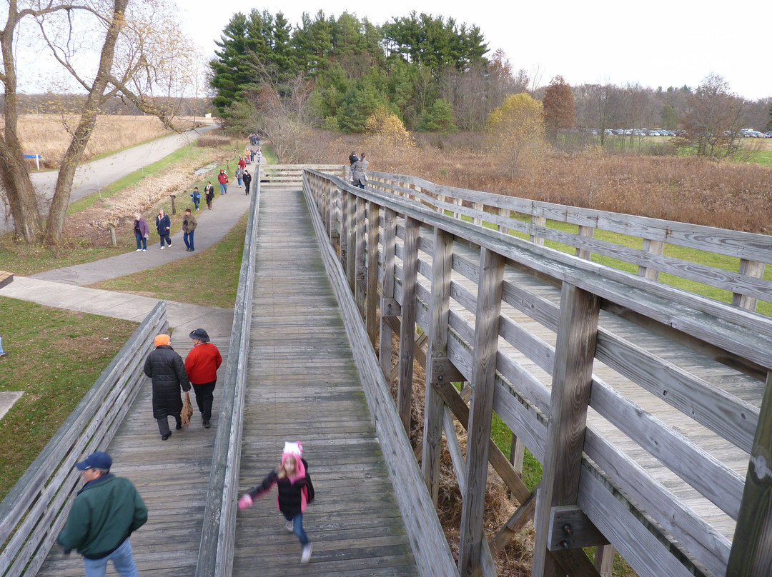 Jasper-Pulaski Fish and Wildlife Area-Medaryville必去景点