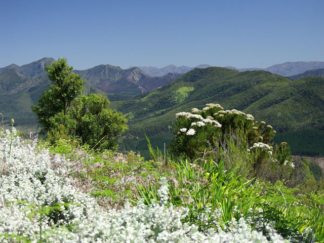 7 Passes Scenic Drive-克尼斯纳必去景点