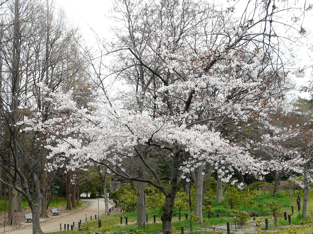 长居公园-大阪市必去景点