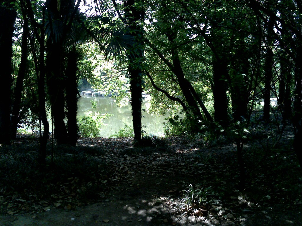 文峰公园-南通市必去景点