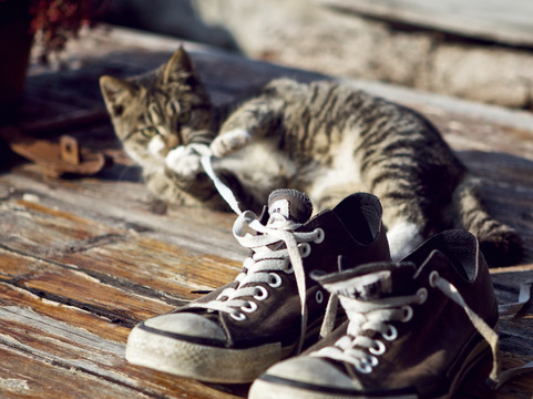 东南西北客栈主图