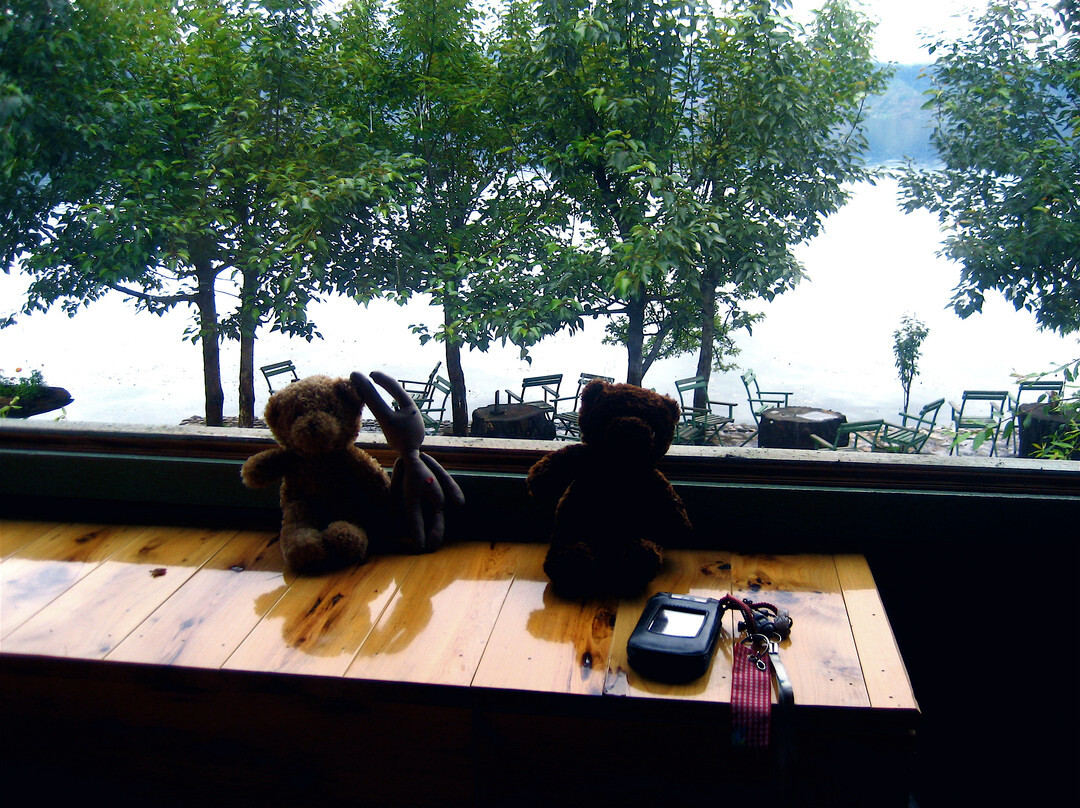 湖思茶屋国际青年旅舍主图