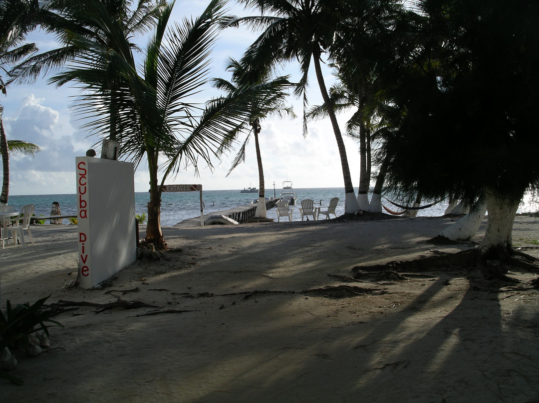 XTC Dive Center-Xcalak必去景点