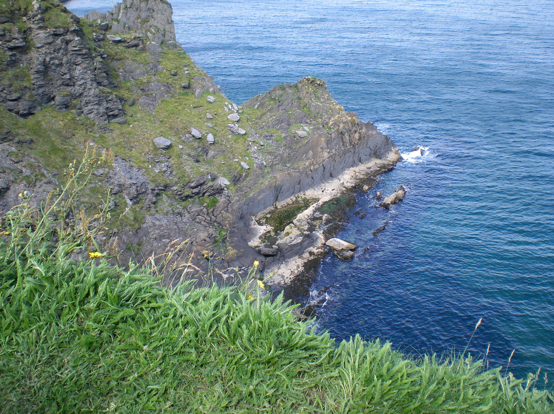 Glendine Irish Home主图