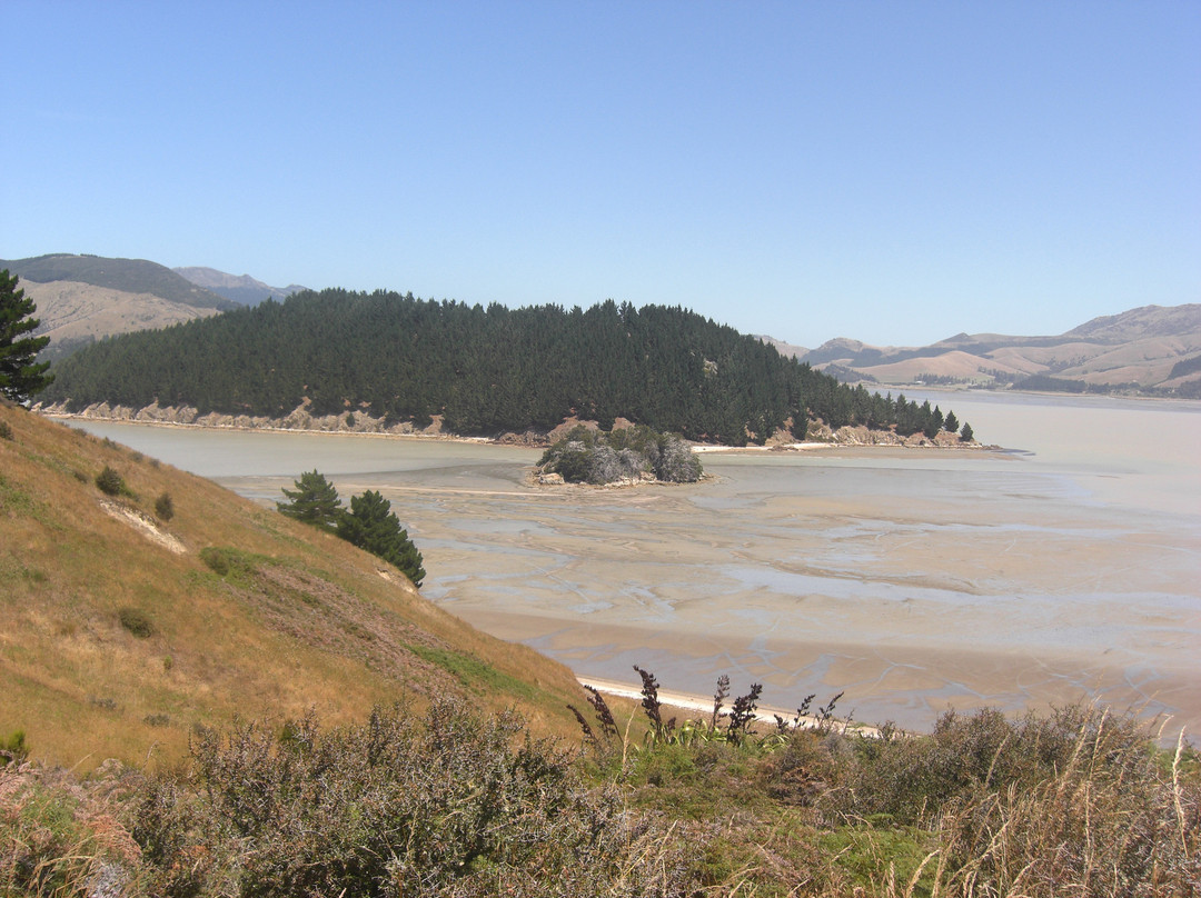 鹌鹑岛-基督城必去景点