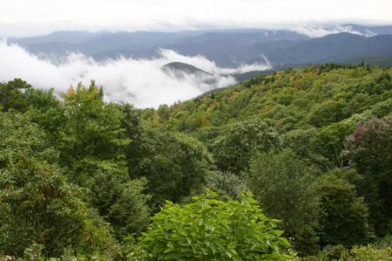 Grandfather Mountain景点图片
