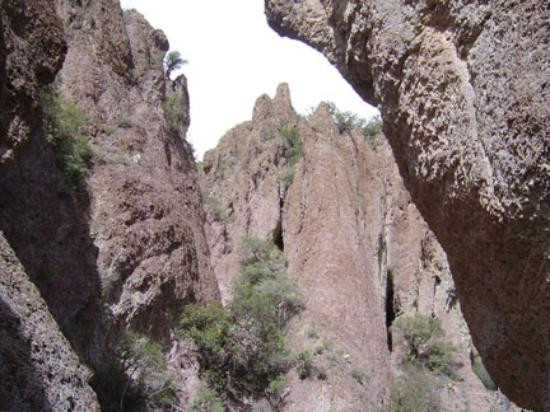 Gila National Forest-Silver City必去景点