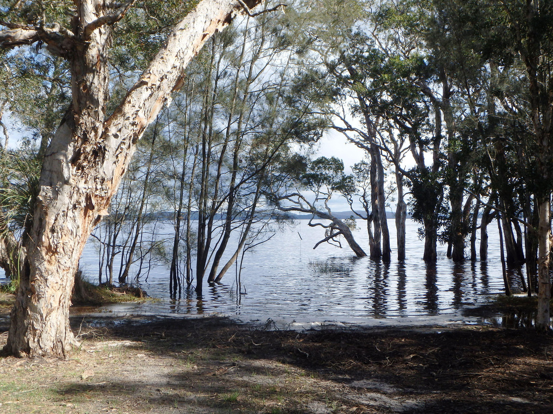 Myall Lakes National Park景点图片