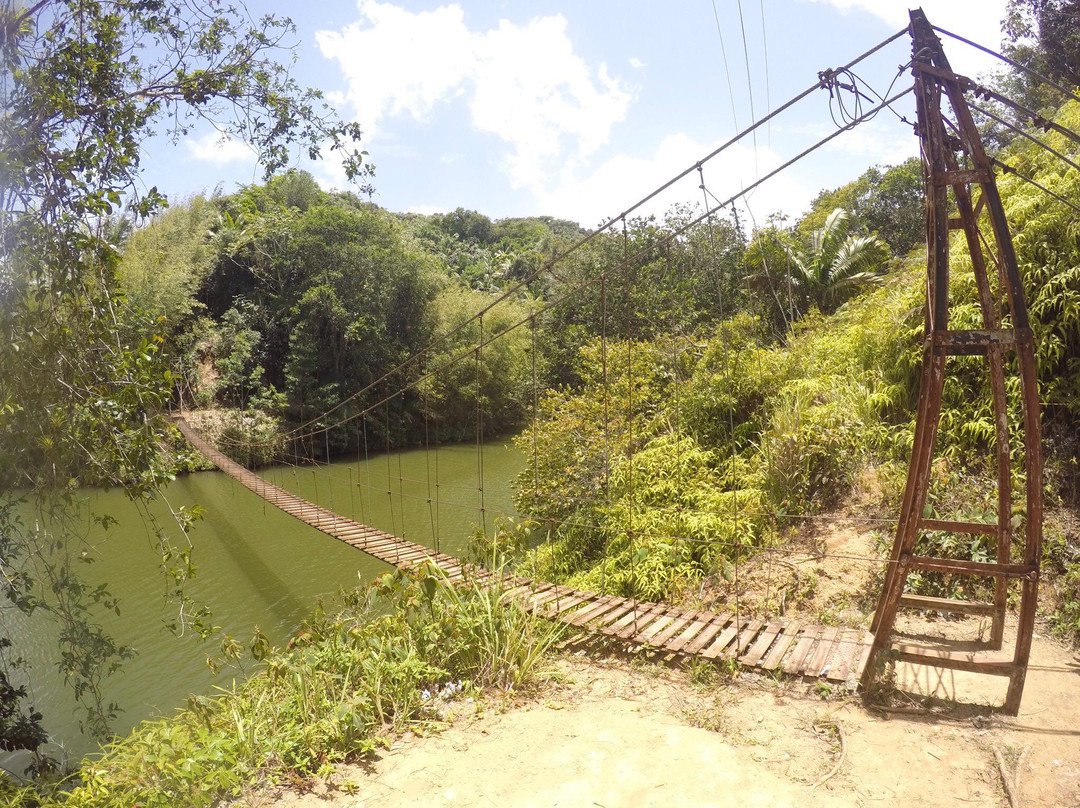 Lago Garzas-Adjuntas必去景点