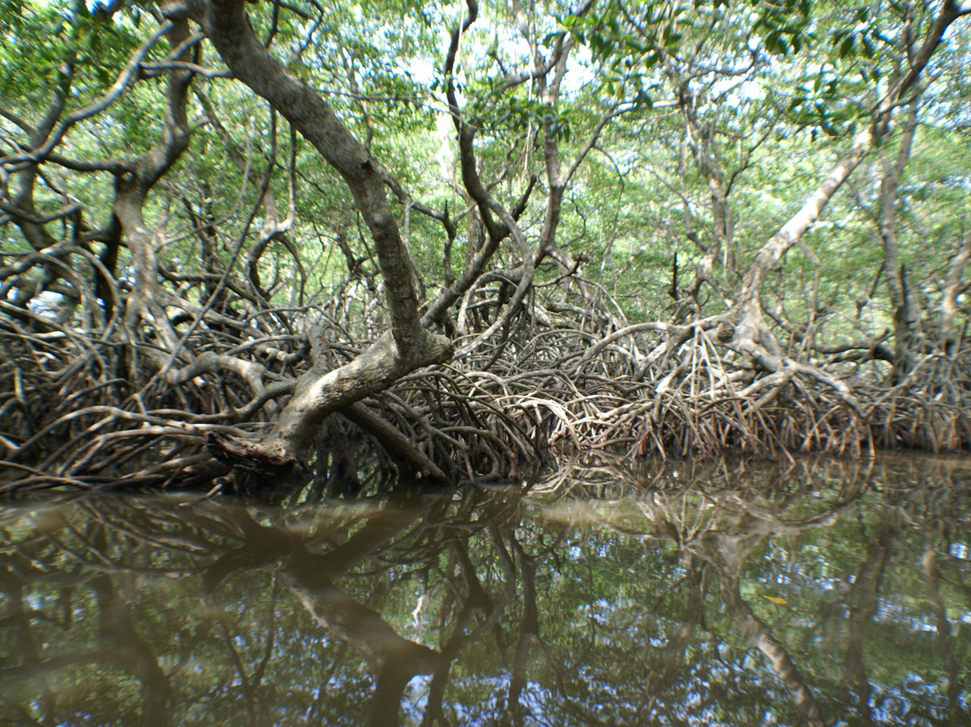 Barra de Sontecomapan景点图片