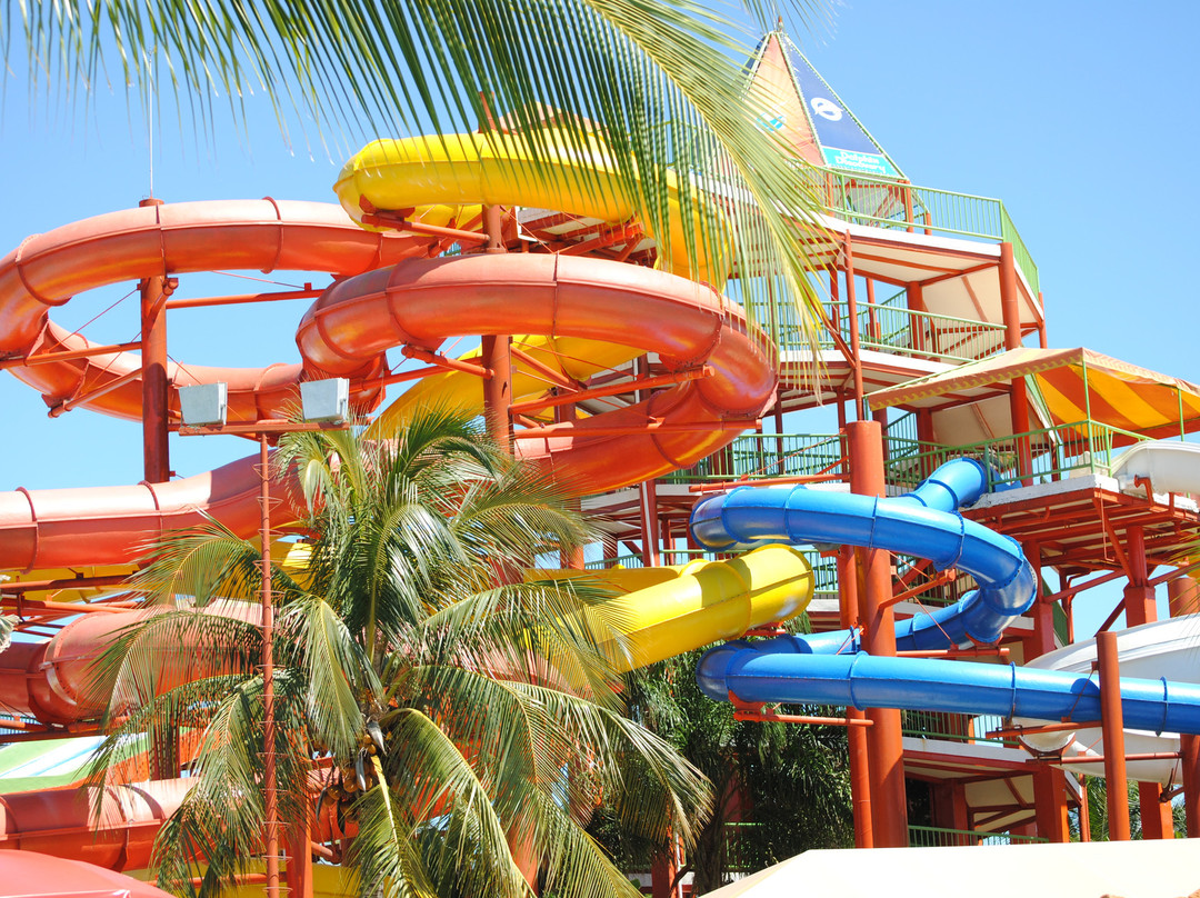 Dolphin Discovery Puerto Vallarta-新瓦雅塔必去景点