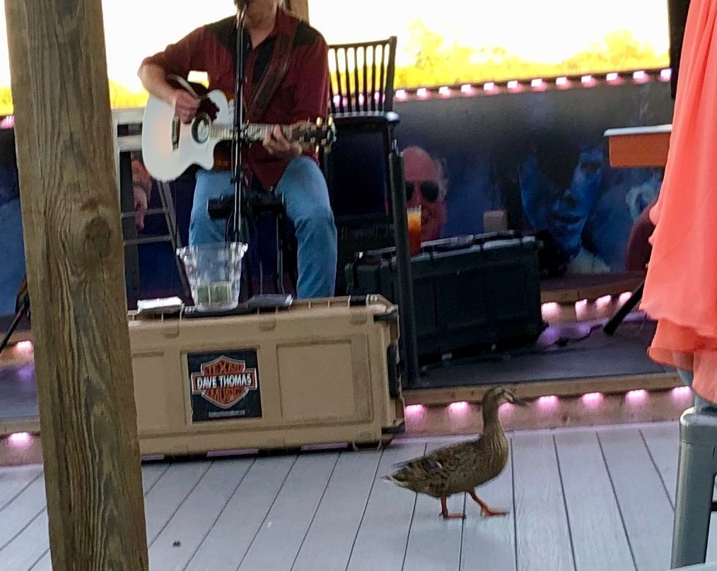 Rockin’ S Bar & Grill