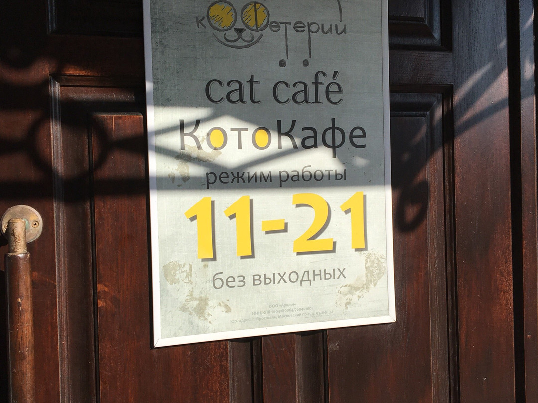 Cat Cafe景点图片