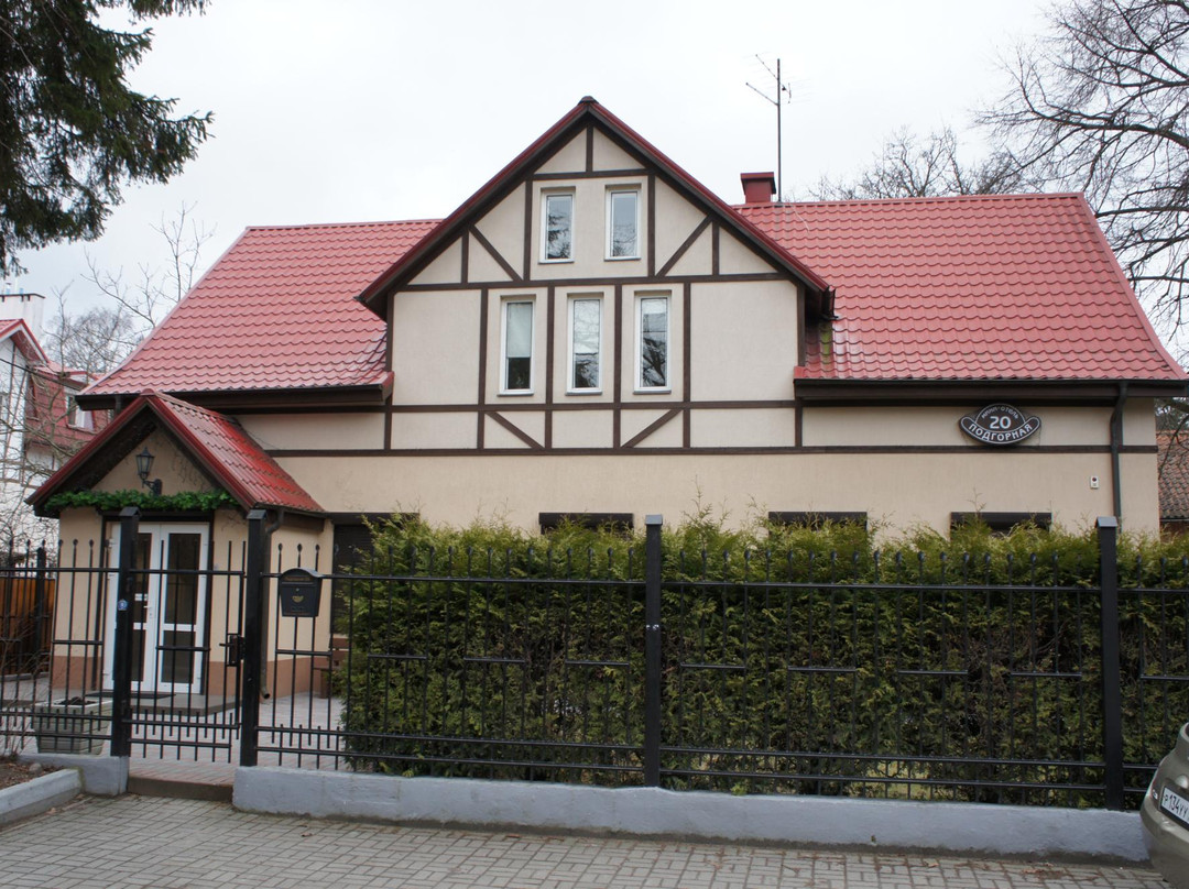 Mini-Hotel on Podgornaya 20