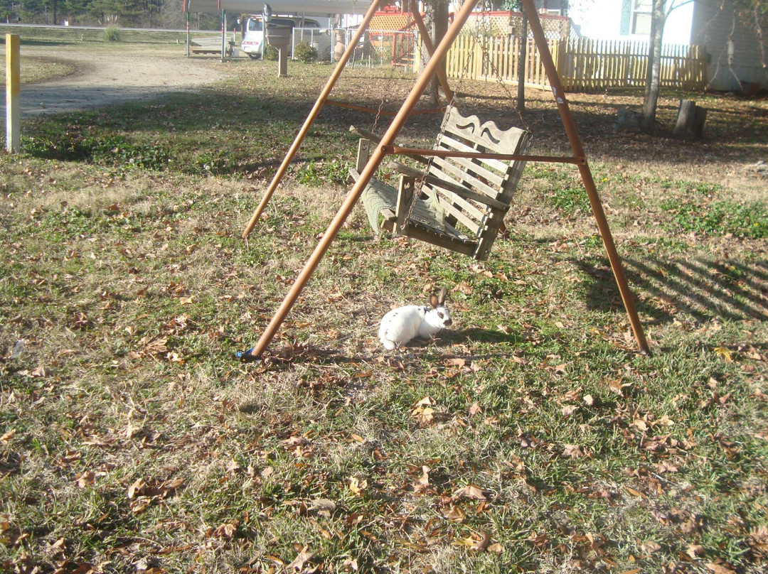 Noonday RV Park