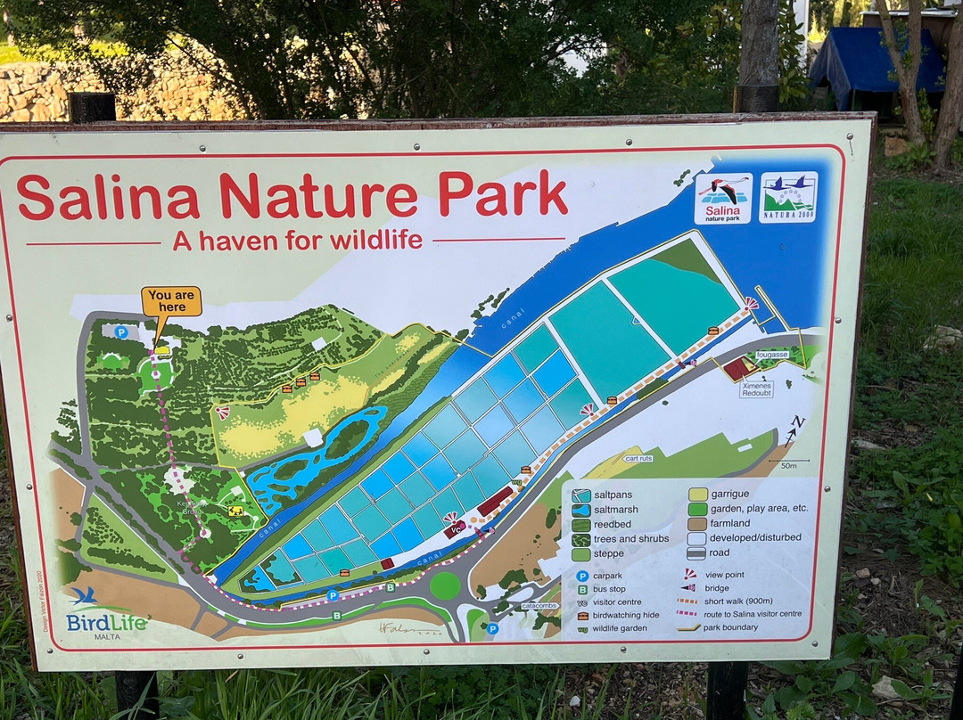 Roman Salt Pans-Bugibba必去景点