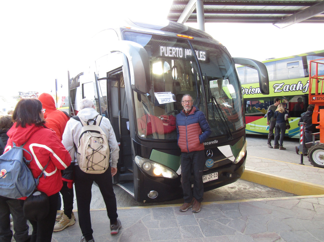 Terminal De Ómnibus El Calafate