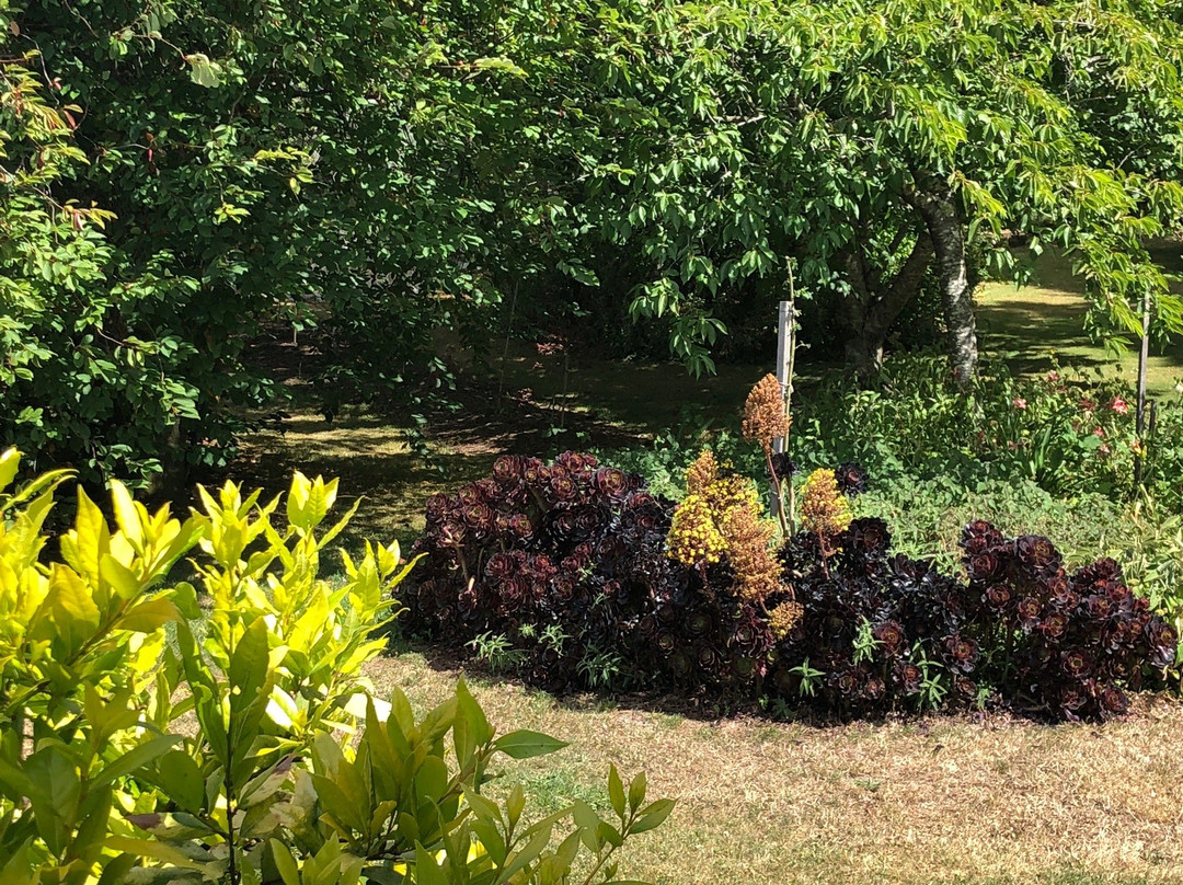 Grey Sands Vineyard-Glengarry必去景点