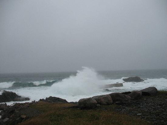 Bayview Country Inn主图