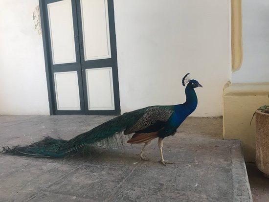 The Arab House-哈瓦那必去景点