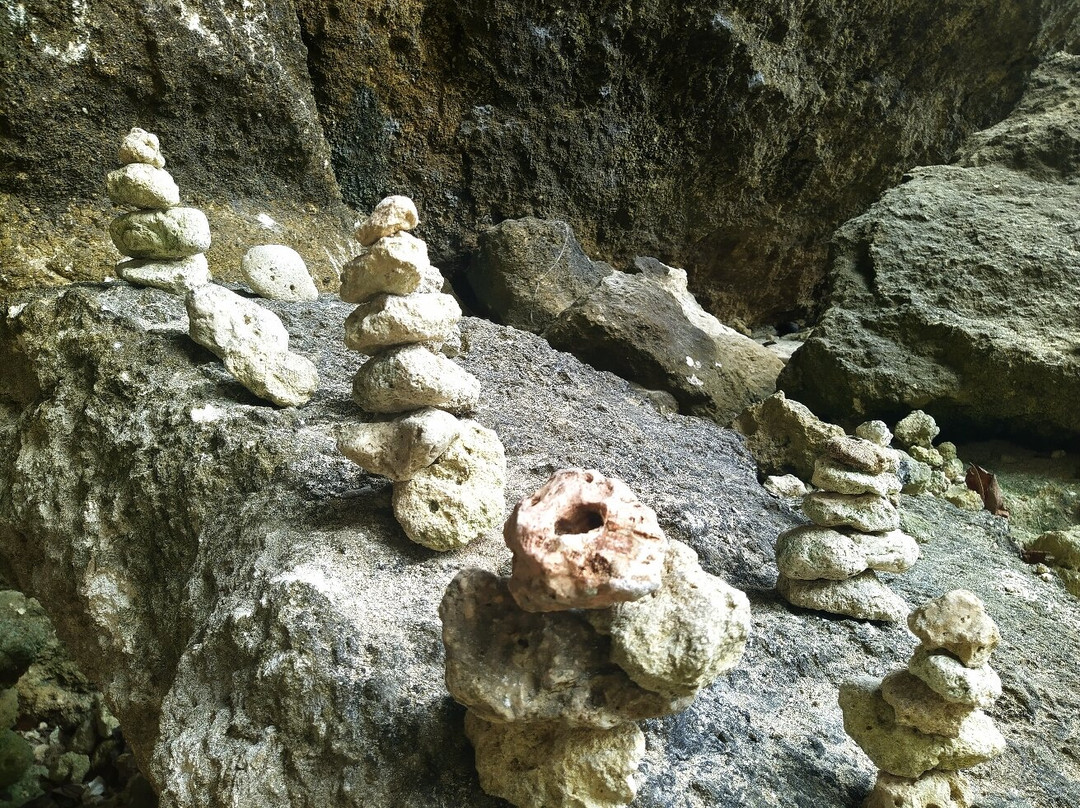 Temeling Jungle Inn主图