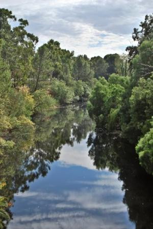 阿德莱德动物园-阿德莱德必去景点