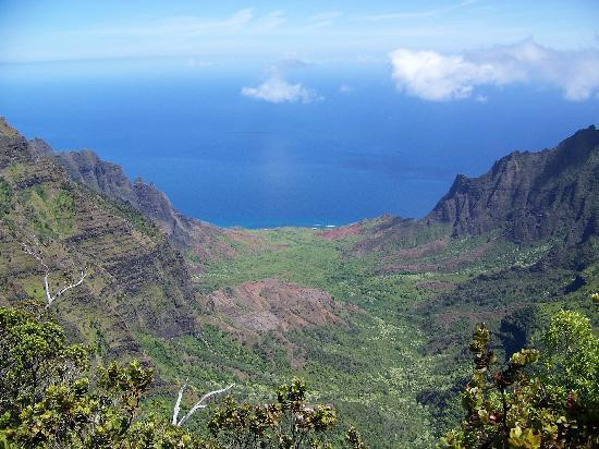Capt Andy's-埃里埃利必去景点