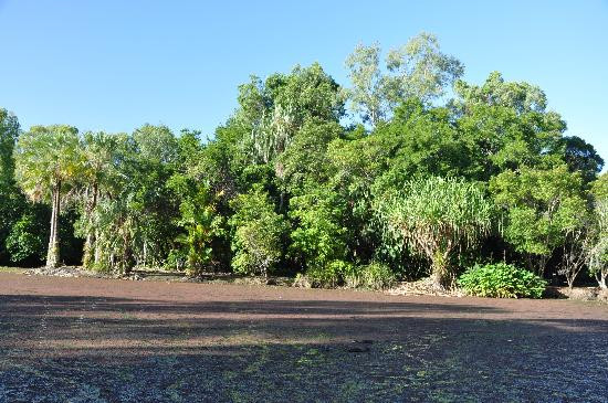 Centenary Lakes - Cairns Botanic Gardens景点图片