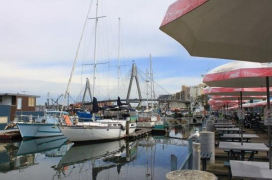 悉尼鱼市场-悉尼必去景点