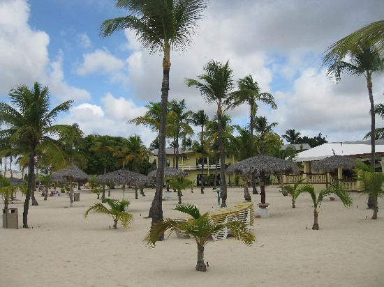 Manchebo Beach-棕榈/鹰海滩必去景点