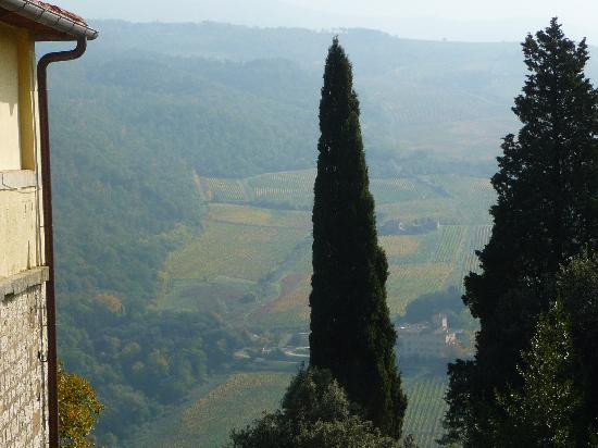 Accidental Tourist-佛罗伦萨必去景点