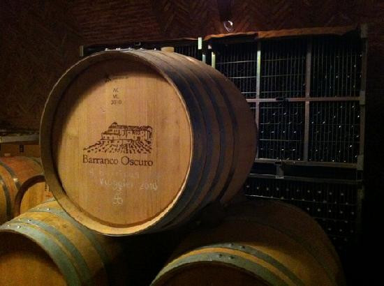 Bodega Barranco Oscuro景点图片