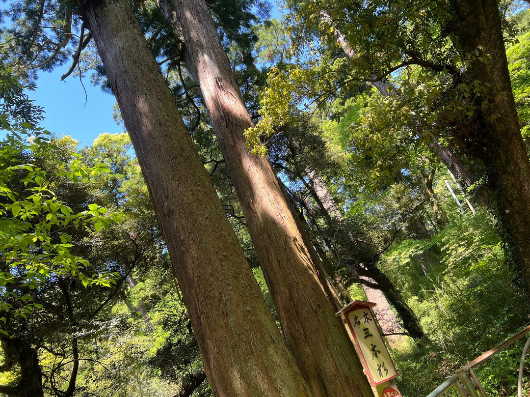 Kasamori-ji Temple-长南町必去景点