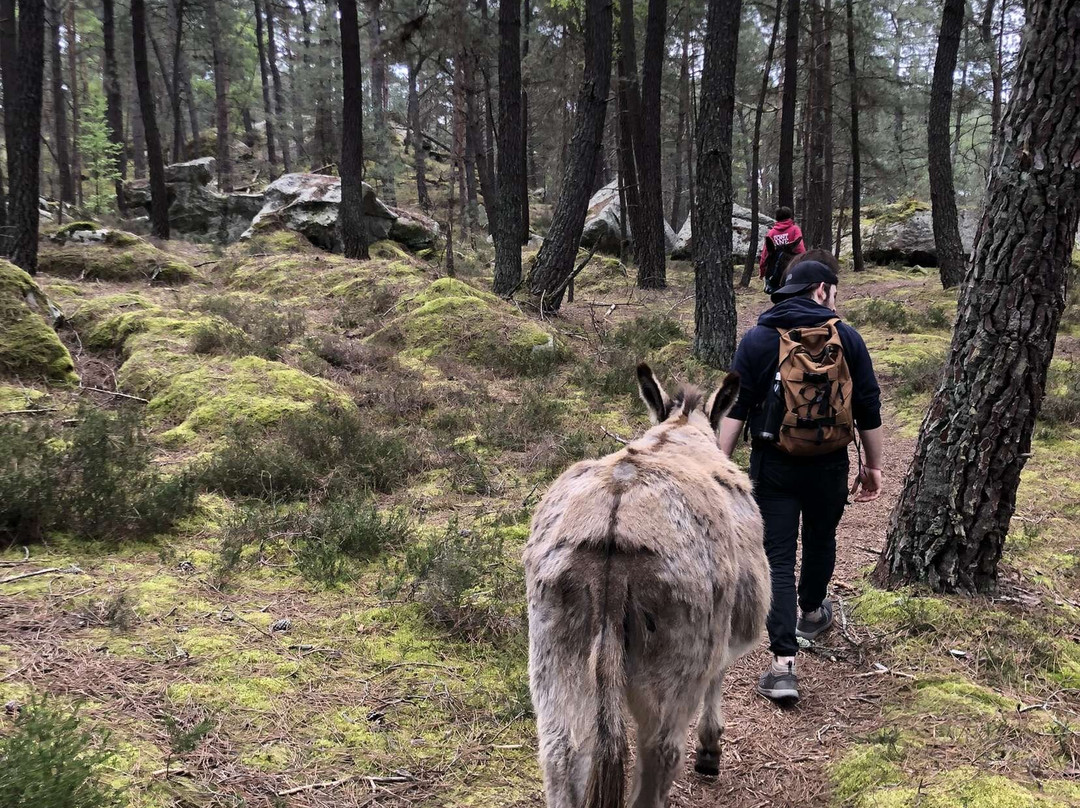 Fontanebleau-Acheres-la-Foret必去景点