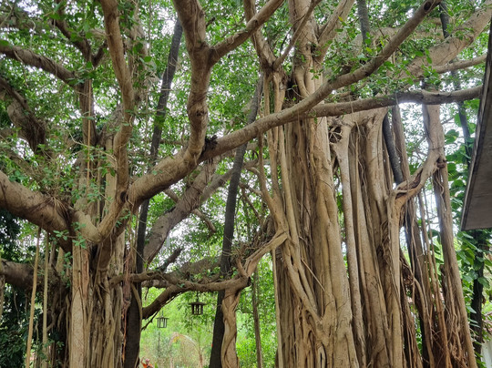 Udaya Tourist Cabs-朋迪榭里必去景点