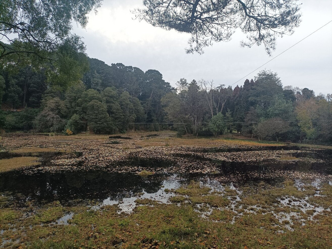 Parque Saval-瓦尔迪维亚必去景点