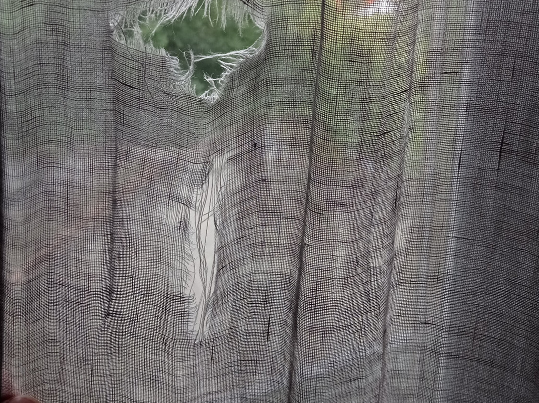 Hotel Borgo Nuovo主图