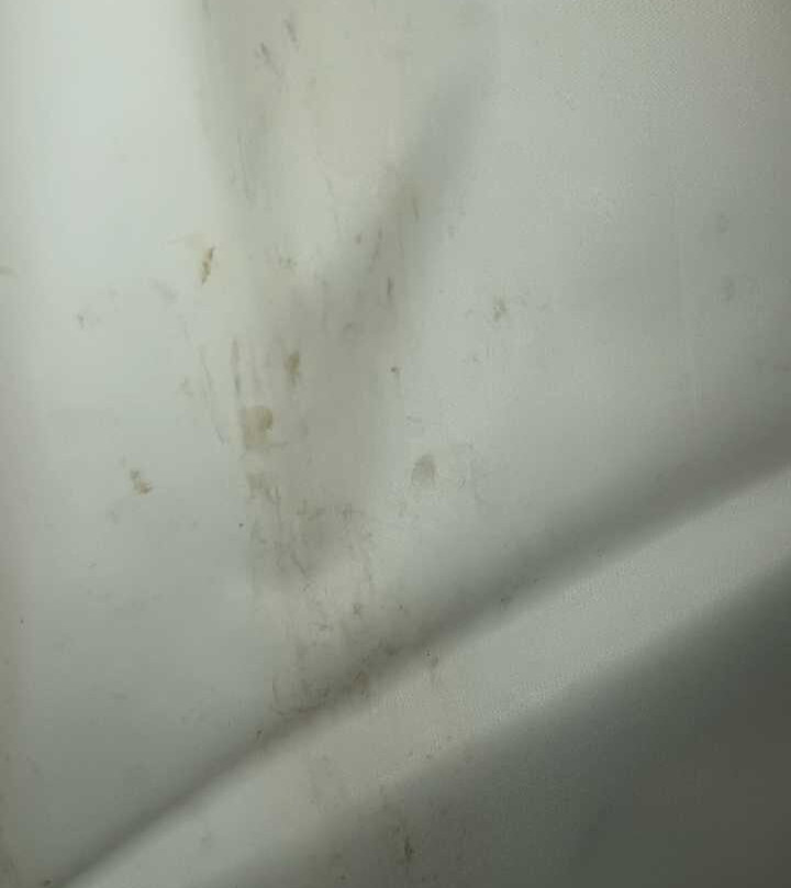 Super 8 by Wyndham Gainesville TX主图