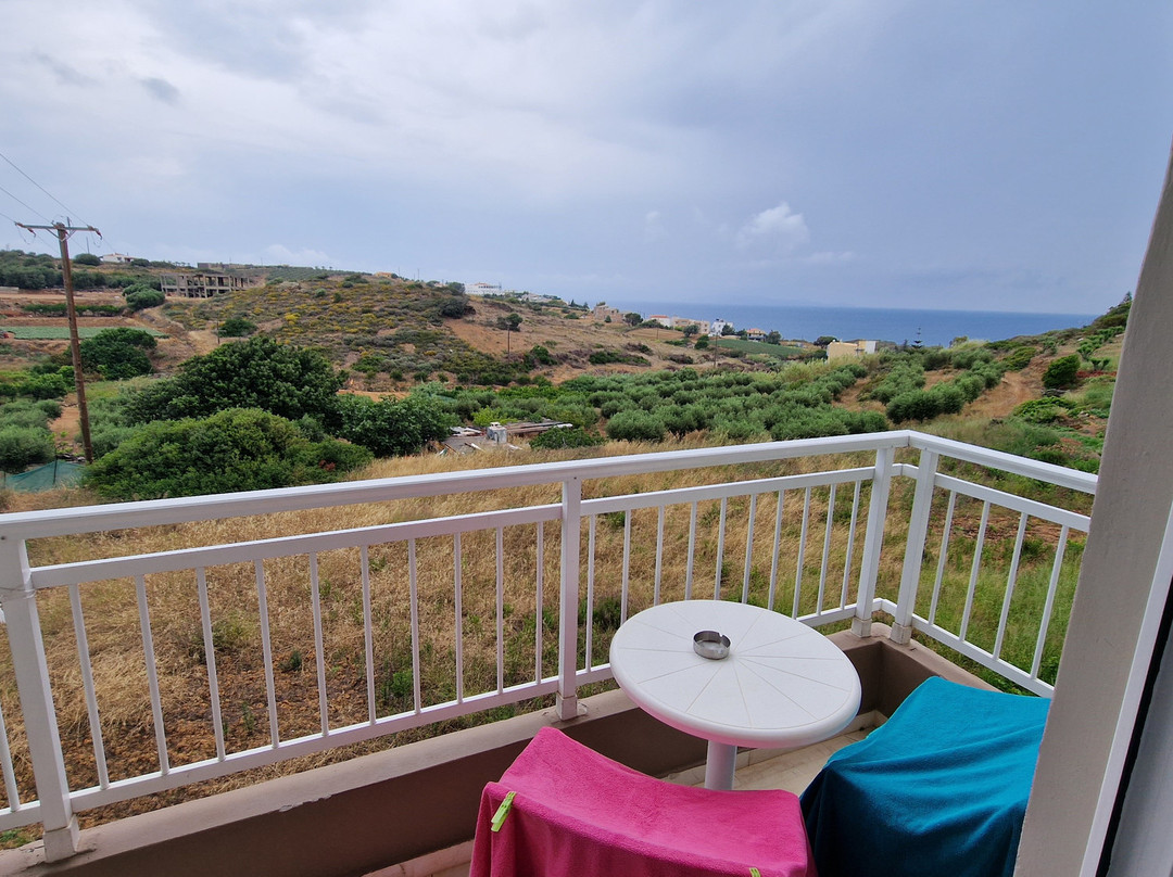 佩拉加港酒店主图