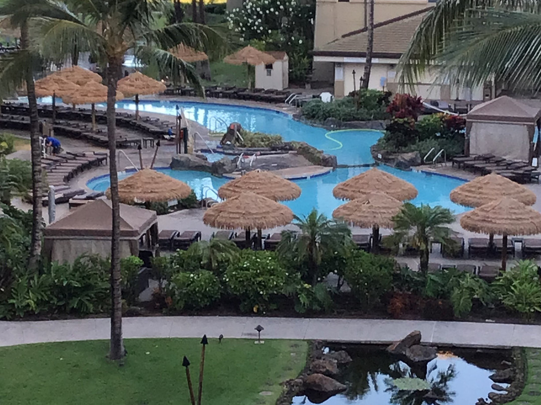 威斯汀卡纳帕利海洋别墅度假酒店主图