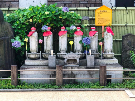 Saiko-ji Temple-Yanaka必去景点