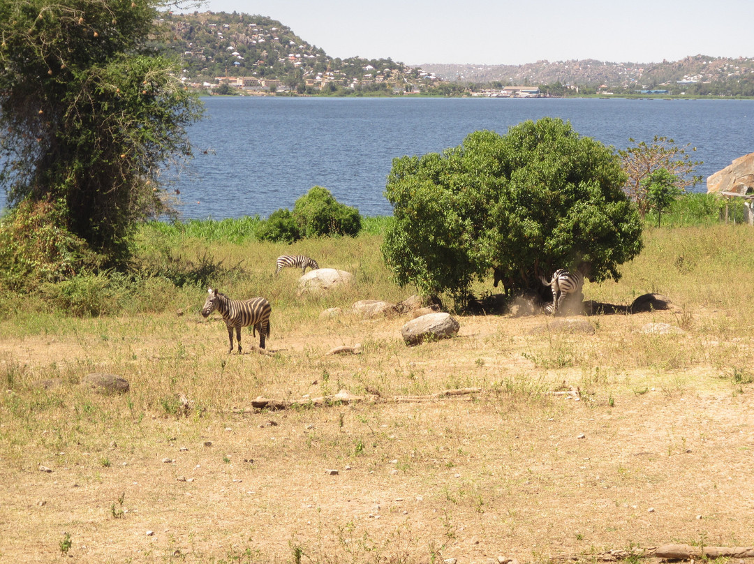 Saanane Island National Park景点图片
