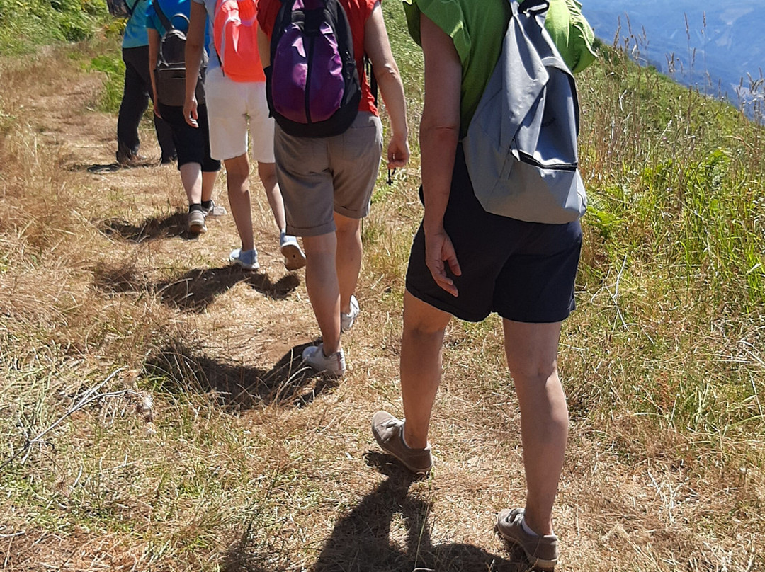 Hotel Presenza主图