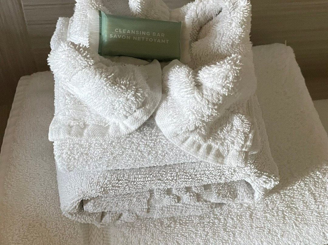 Courtyard by Marriott Dallas DFW Airport North/Grapevine主图